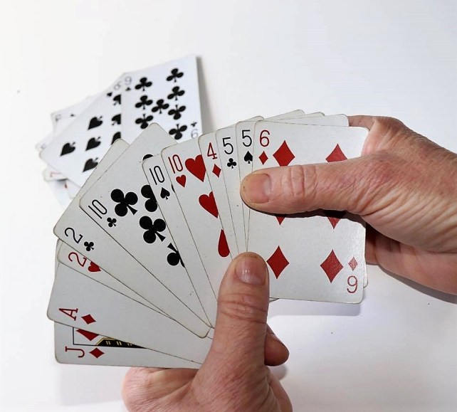 22561393_1447622325293086_754014055_o