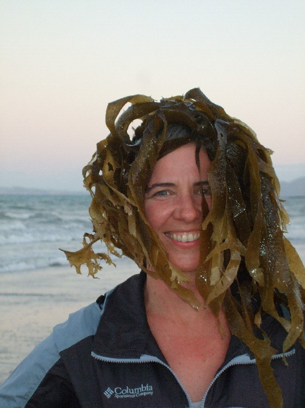 seaweed head