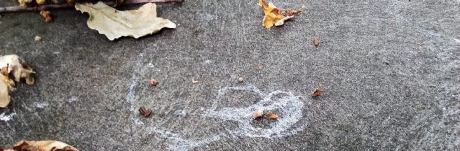 cropped-20180330_120319-2.jpg