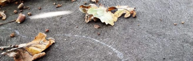 cropped-20180330_120325-2.jpg