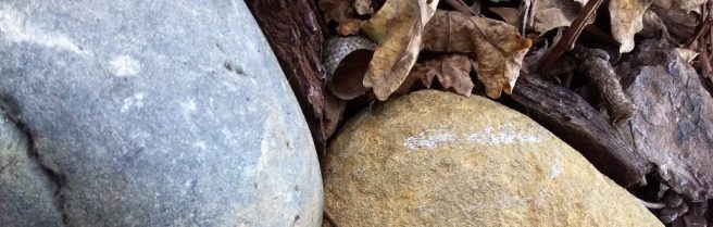 cropped-20180330_120442-2.jpg