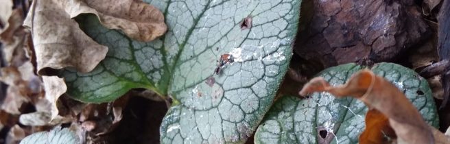 cropped-20180330_120525.jpg